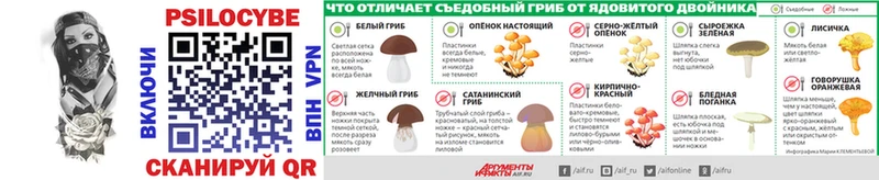 Псилоцибиновые грибы MAGIC MUSHROOMS Плёс
